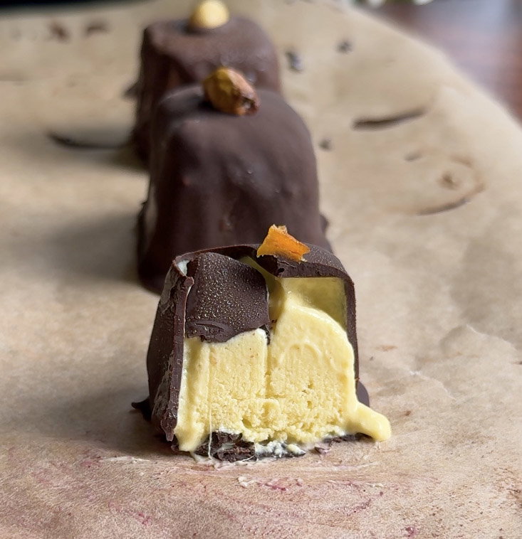 Frozen Protein Bites