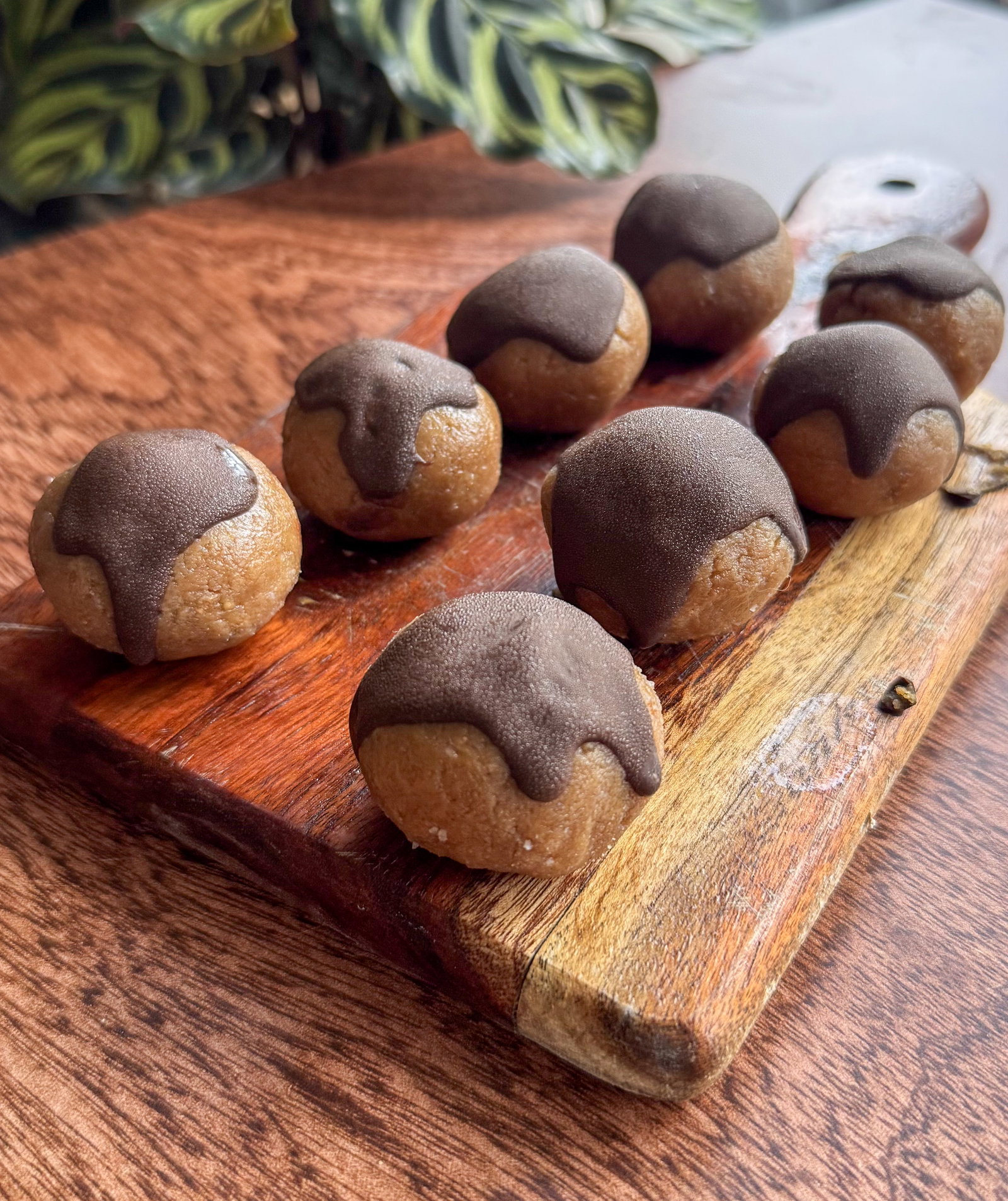 Peanut Butter Fudge Bites